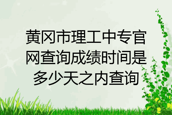 黄冈市理工中专官网查询成绩时间是多少天之内查询