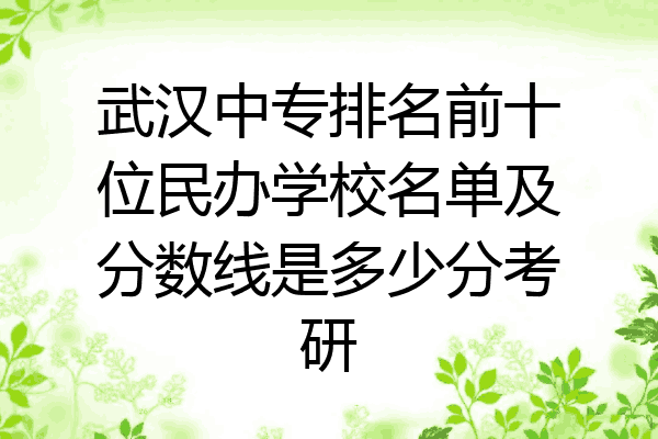 武汉中专排名前十位民办学校名单及分数线是多少分考研