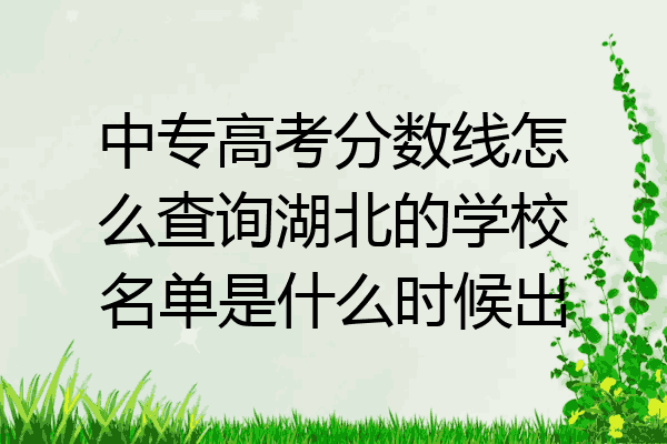 中专高考分数线怎么查询湖北的学校名单是什么时候出
