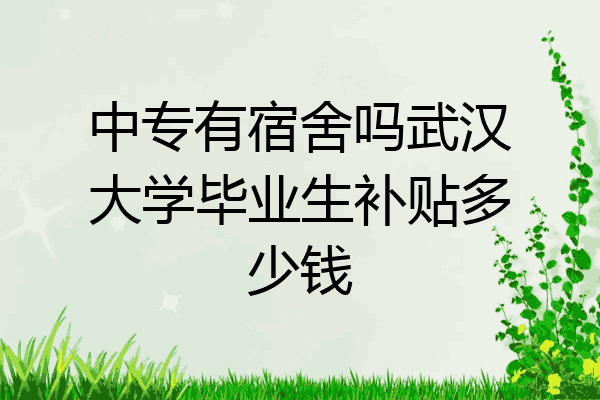 中专有宿舍吗武汉大学毕业生补贴多少钱