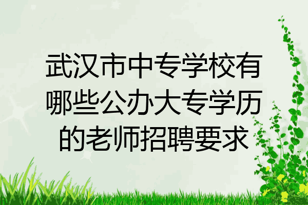 武汉市中专学校有哪些公办大专学历的老师招聘要求