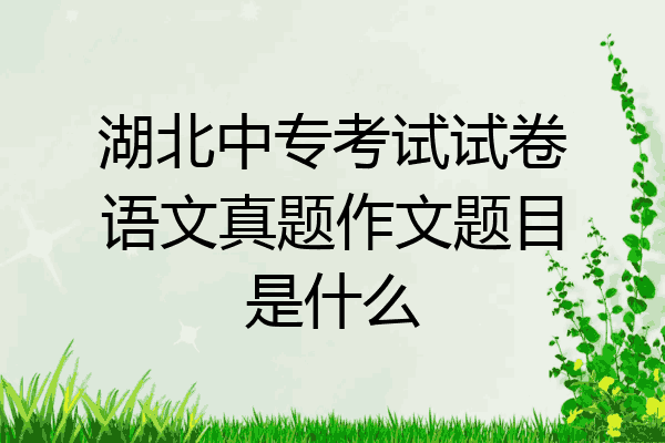 湖北中专考试试卷语文真题作文题目是什么