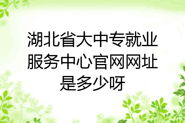 湖北省大中专就业服务中心官网网址是多少呀