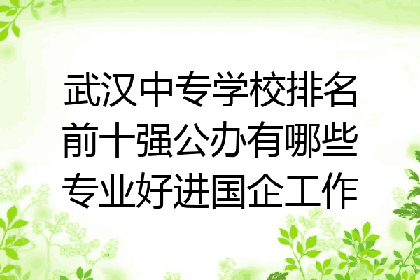武汉中专学校排名前十强公办有哪些专业好进国企工作
