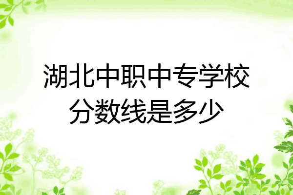 湖北中职中专学校分数线是多少
