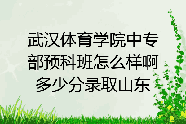 武汉体育学院中专部预科班怎么样啊多少分录取山东