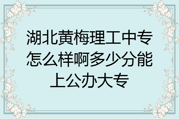 湖北黄梅理工中专怎么样啊多少分能上公办大专