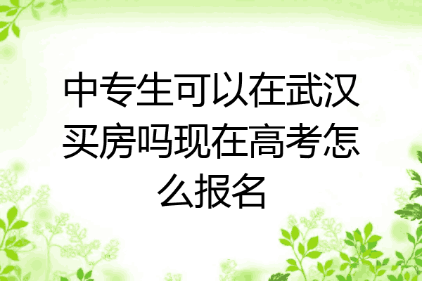 中专生可以在武汉买房吗现在高考怎么报名