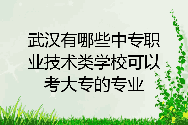 武汉有哪些中专职业技术类学校可以考大专的专业