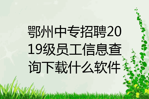 鄂州中专招聘2019级员工信息查询下载什么软件