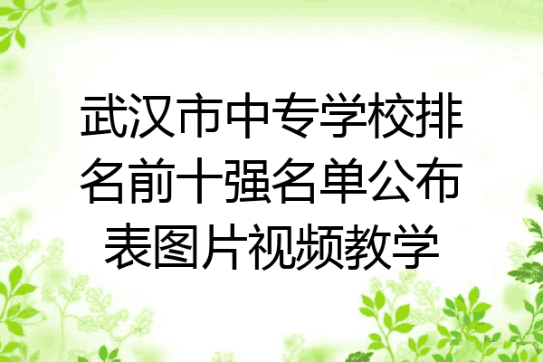 武汉市中专学校排名前十强名单公布表图片视频教学