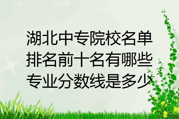 湖北中专院校名单排名前十名有哪些专业分数线是多少