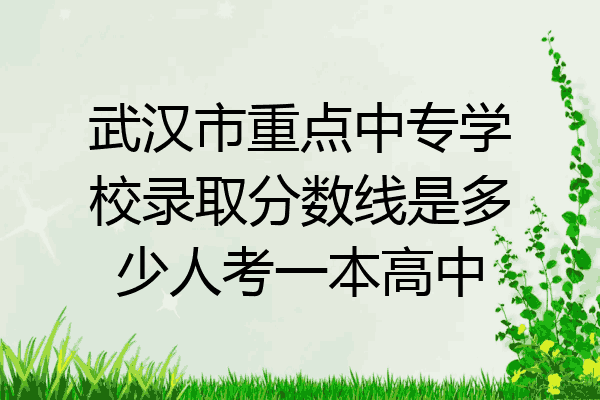 武汉市重点中专学校录取分数线是多少人考一本高中