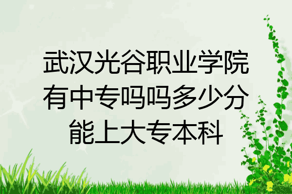 武汉光谷职业学院有中专吗吗多少分能上大专本科