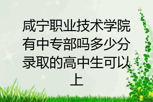 咸宁职业技术学院有中专部吗多少分录取的高中生可以上