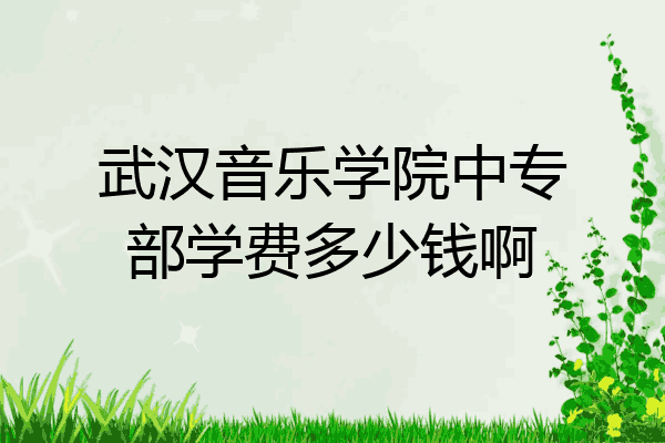 武汉音乐学院中专部学费多少钱啊