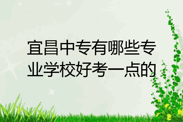 宜昌中专有哪些专业学校好考一点的