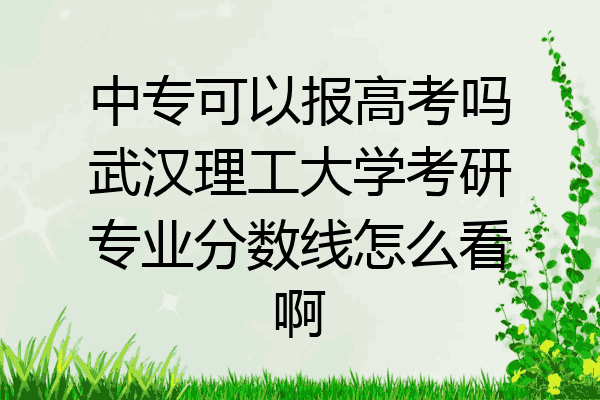 中专可以报高考吗武汉理工大学考研专业分数线怎么看啊