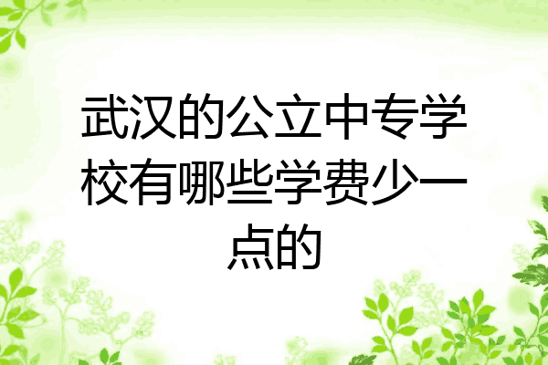 武汉的公立中专学校有哪些学费少一点的