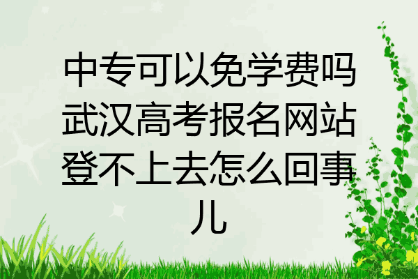 中专可以免学费吗武汉高考报名网站登不上去怎么回事儿