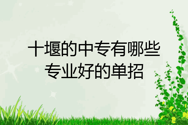 十堰的中专有哪些专业好的单招