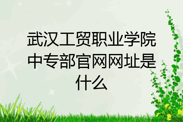 武汉工贸职业学院中专部官网网址是什么