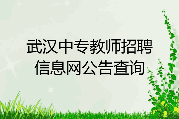 武汉中专教师招聘信息网公告查询