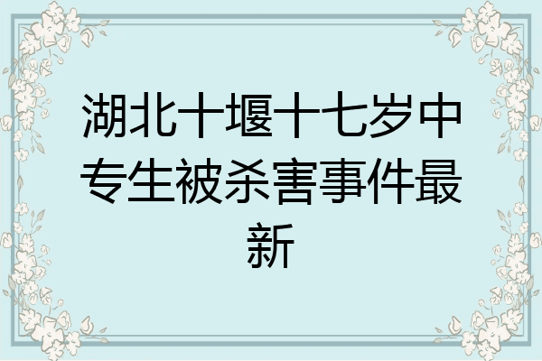 湖北十堰十七岁中专生被杀害事件最新