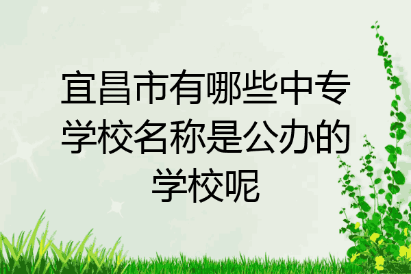 宜昌市有哪些中专学校名称是公办的学校呢