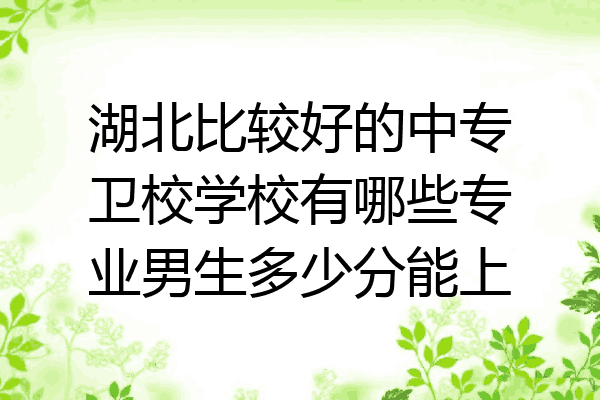 湖北比较好的中专卫校学校有哪些专业男生多少分能上