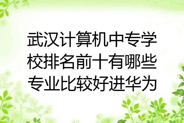 武汉计算机中专学校排名前十有哪些专业比较好进华为