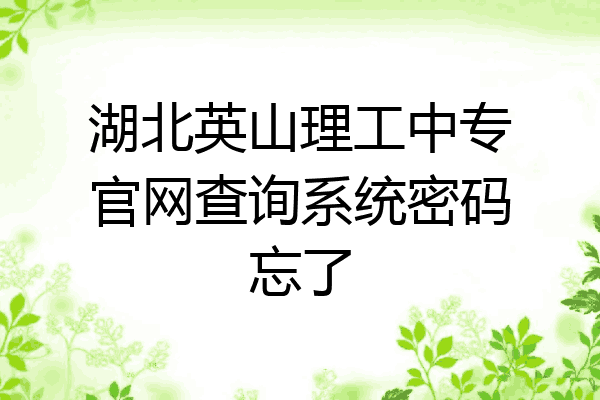 湖北英山理工中专官网查询系统密码忘了