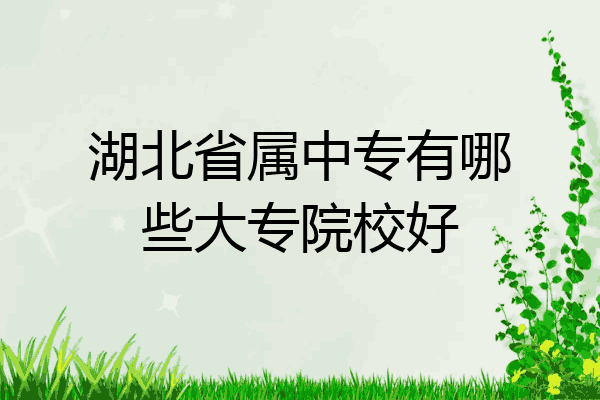 湖北省属中专有哪些大专院校好