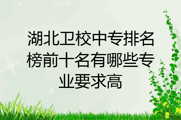 湖北卫校中专排名榜前十名有哪些专业要求高