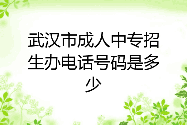 武汉市成人中专招生办电话号码是多少