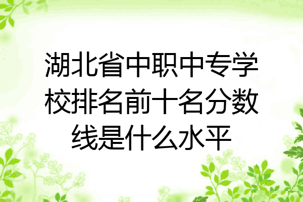 湖北省中职中专学校排名前十名分数线是什么水平