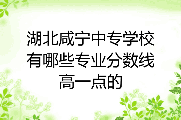 湖北咸宁中专学校有哪些专业分数线高一点的