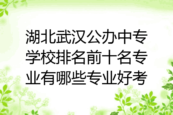 湖北武汉公办中专学校排名前十名专业有哪些专业好考