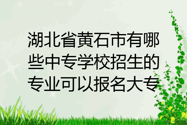 湖北省黄石市有哪些中专学校招生的专业可以报名大专
