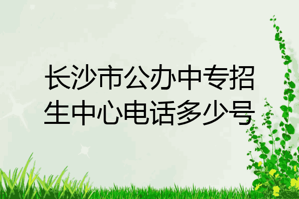 长沙市公办中专招生中心电话多少号