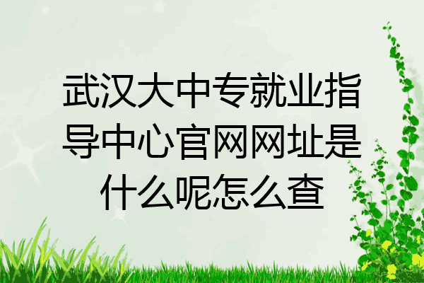 武汉大中专就业指导中心官网网址是什么呢怎么查