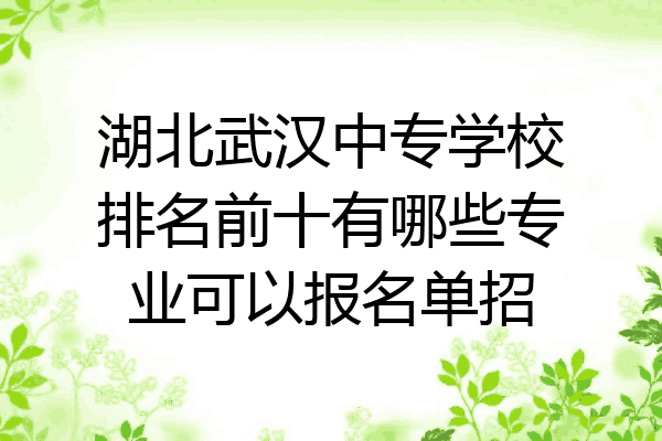 湖北武汉中专学校排名前十有哪些专业可以报名单招