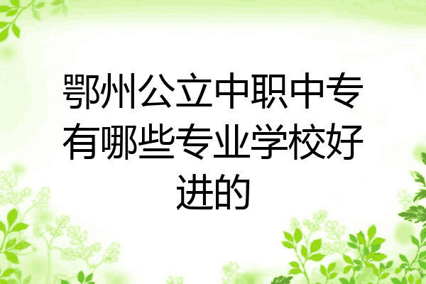 鄂州公立中职中专有哪些专业学校好进的