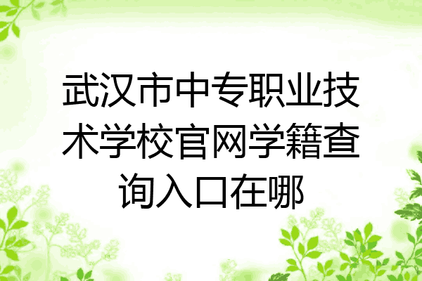 武汉市中专职业技术学校官网学籍查询入口在哪