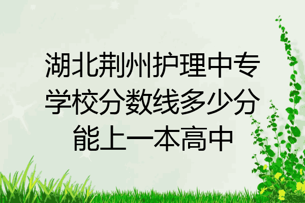 湖北荆州护理中专学校分数线多少分能上一本高中