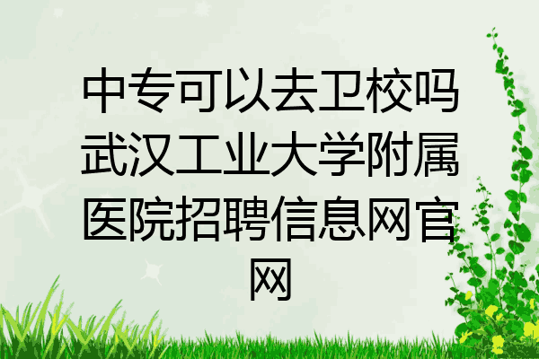 中专可以去卫校吗武汉工业大学附属医院招聘信息网官网
