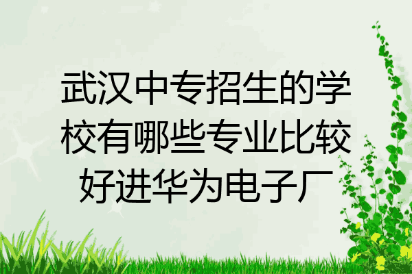 武汉中专招生的学校有哪些专业比较好进华为电子厂