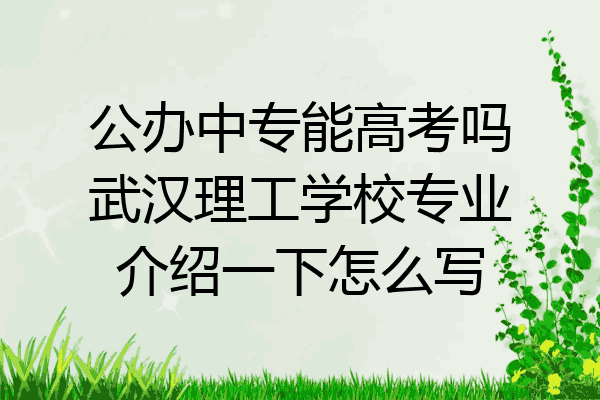 公办中专能高考吗武汉理工学校专业介绍一下怎么写