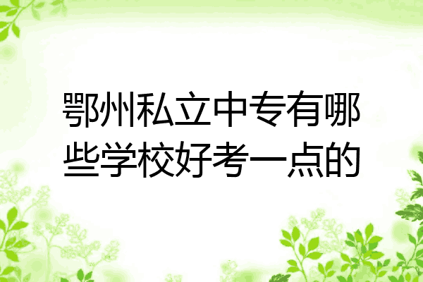 鄂州私立中专有哪些学校好考一点的