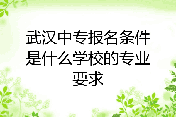武汉中专报名条件是什么学校的专业要求